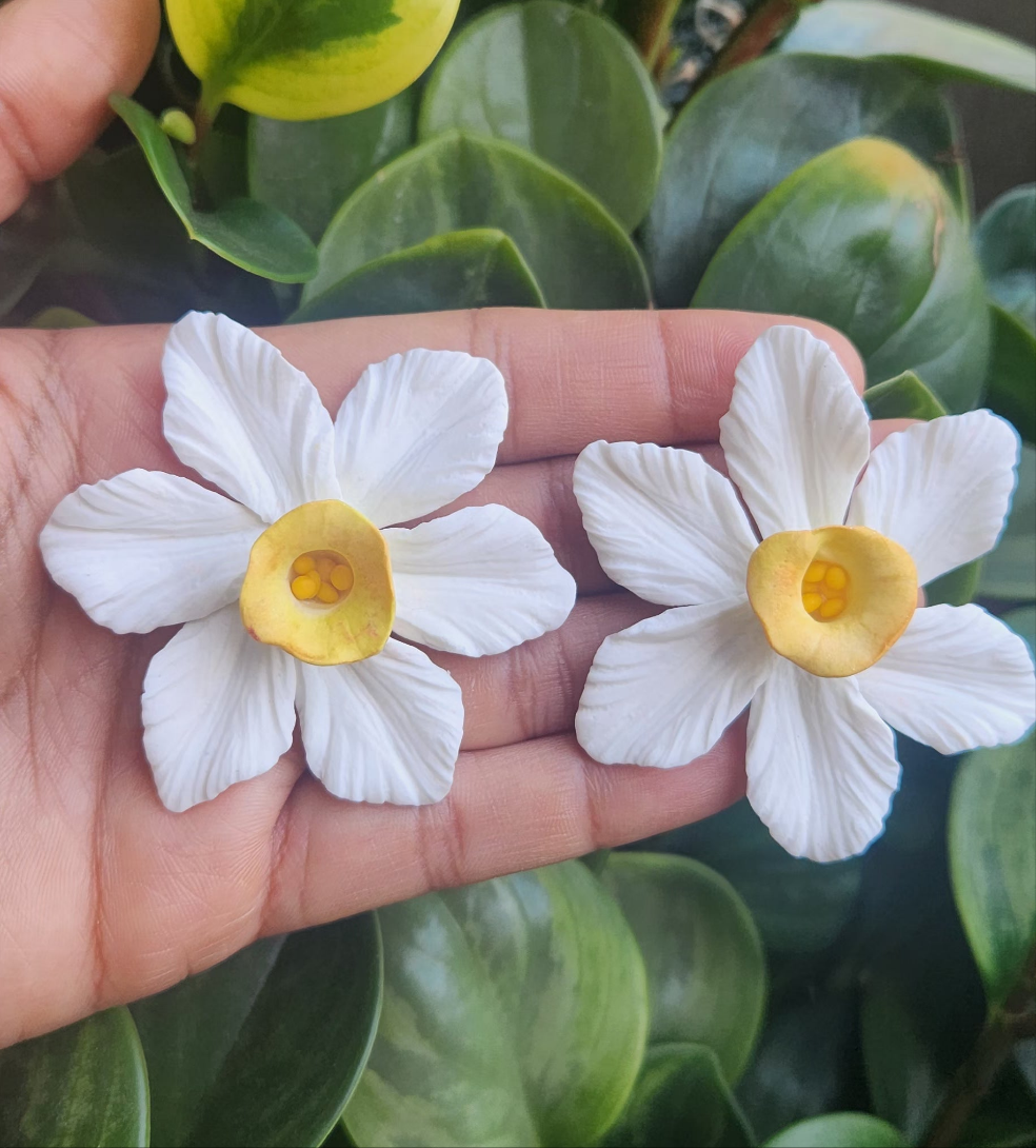 Narcisos